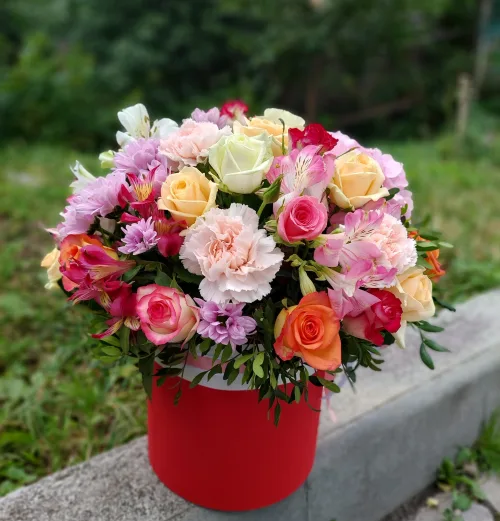 Композиція «Матіола»