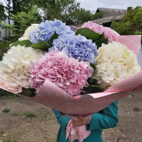 Букет «Тіна»